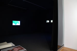 view of the show1